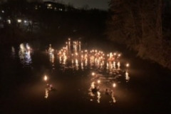 3421A9CC-29A1-4C74-963D-971834BDFDF4